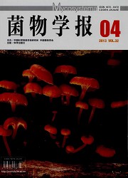 菌物学报封面